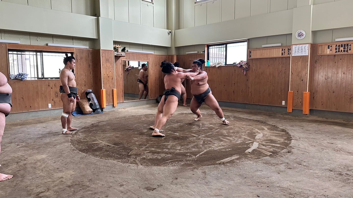 Experience the World of Sumo